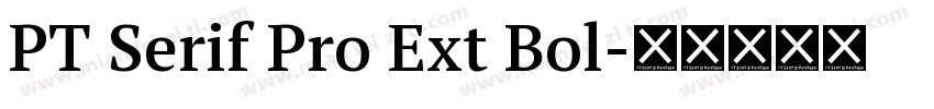 PT Serif Pro Ext Bol字体转换